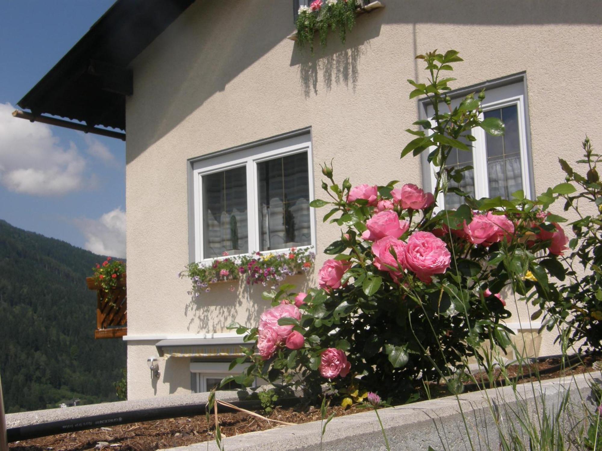 Ferienwohnung Brennseeblick Feld am See Kültér fotó